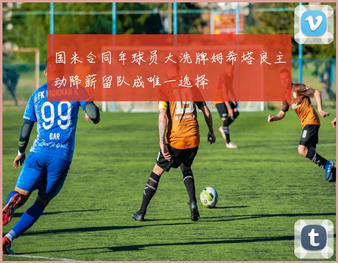 国米合同年球员大洗牌姆希塔良主动降薪留队成唯一选择