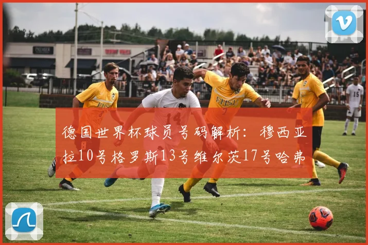 德国世界杯球员号码解析：穆西亚拉10号格罗斯13号维尔茨17号哈弗茨7号的背后故事