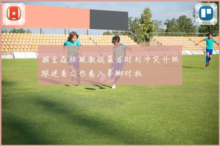 掘金森林狼激战最后时刻冲突升级球迷看台也卷入拳脚对抗